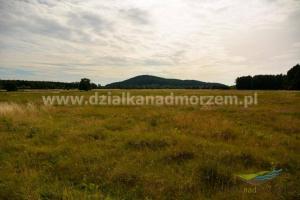 Działki nad morzem_Smołdzino_1000m2_21