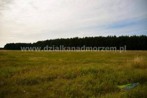 Działki nad morzem_Smołdzino_1000m2_25