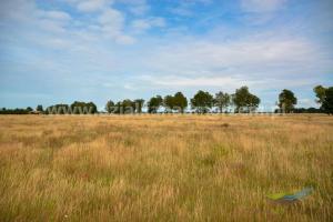 Działki nad morzem_Smołdzino_1000m2_27