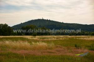 Działki nad morzem_Smołdzino_1000m2_9