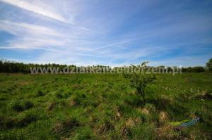 Działki nad morzem_Ustka - Wodnica k. lasu_1045m2_17