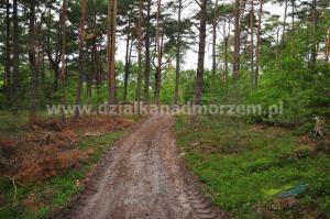 Działki nad morzem_Wytowno k. Ustki_871m2_63